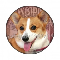 chien