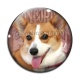 Cabochon Verre - chien