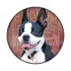 chien