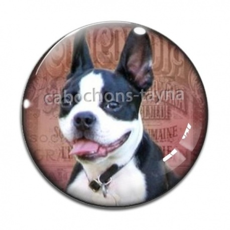 Cabochon Verre - loup