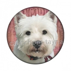 chien