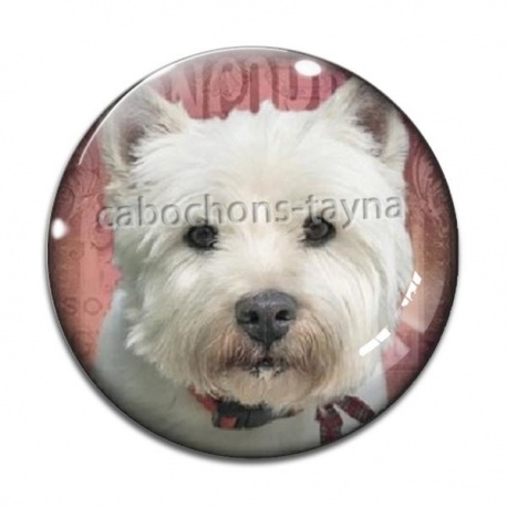 Cabochon Verre - loup