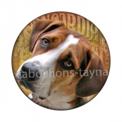 chien