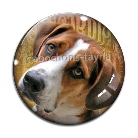 Cabochon Verre - loup