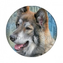 chien