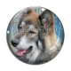 Cabochon Verre - loup