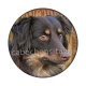 chien