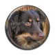 Cabochon Résine - loup