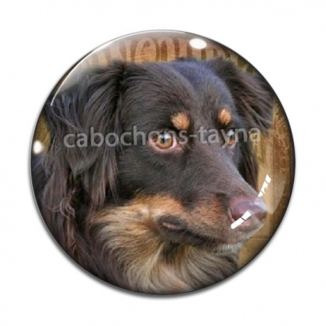 Cabochon Verre - loup