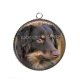 Pendentif Cabochon Argent - loup