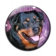 Cabochon Verre - loup