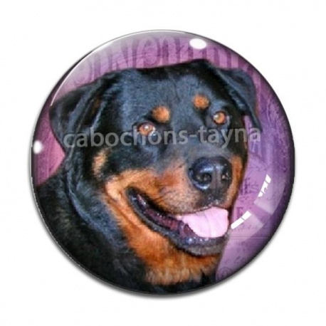 Cabochon Verre - loup