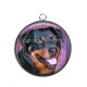 Pendentif Cabochon Argent - loup