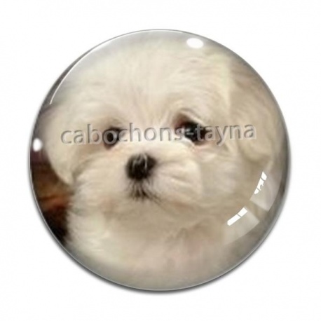 Cabochon Verre - loup