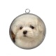 Pendentif Cabochon Argent - loup