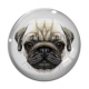 Cabochon Verre - loup