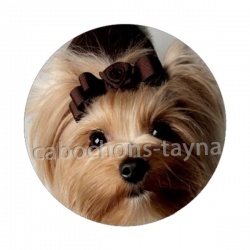 chien