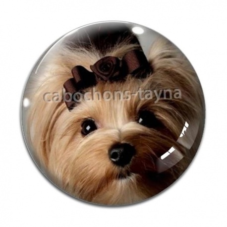 Cabochon Verre - loup