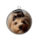 Pendentif Cabochon Argent - loup