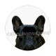chien