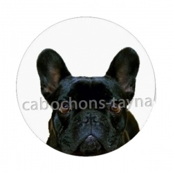 chien