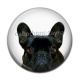 Cabochon Résine - loup