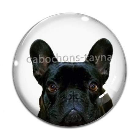 Cabochon Verre - loup