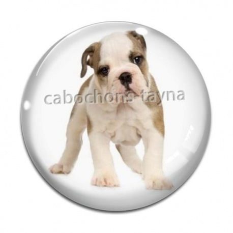 Cabochon Verre - loup