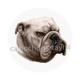 chien