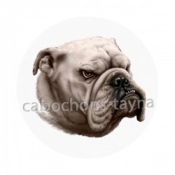 chien