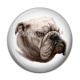 Cabochon Résine - loup