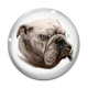 Cabochon Verre - loup