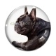 Cabochon Verre - loup