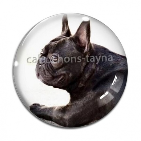 Cabochon Verre - loup