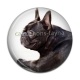 Cabochon Résine - loup