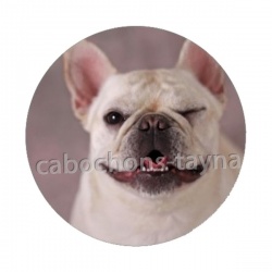 chien