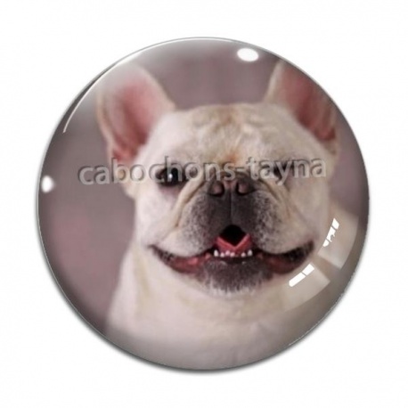 Cabochon Verre - loup