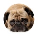 chien