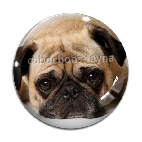 Cabochon Verre - loup