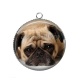 Pendentif Cabochon Argent - loup