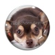 Cabochon Verre - loup