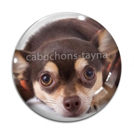 Cabochon Verre - loup