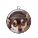 Pendentif Cabochon Argent - loup