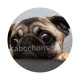 chien