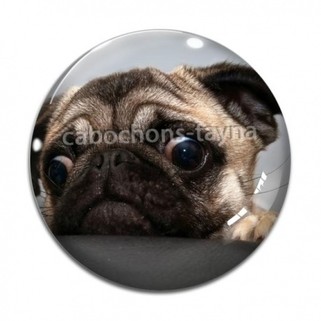 Cabochon Verre - loup