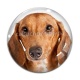 Cabochon Verre - loup