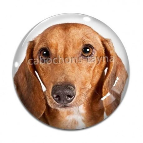 Cabochon Verre - loup