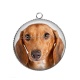 Pendentif Cabochon Argent - loup
