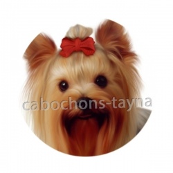 chien
