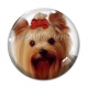 Cabochon Verre - loup
